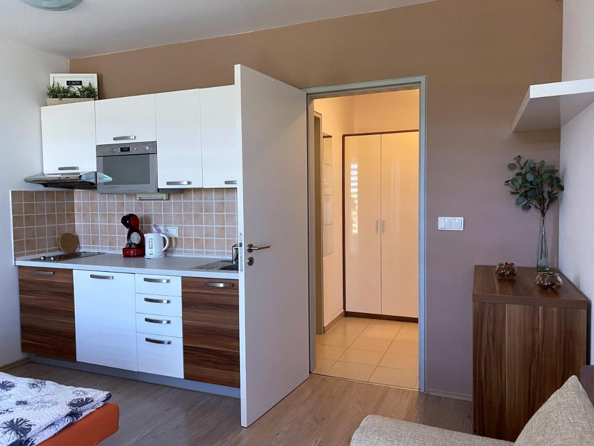 Miky Apartman Klinovec Meadow Loučná pod Klínovcem Екстериор снимка