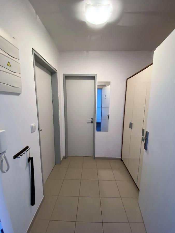Miky Apartman Klinovec Meadow Loučná pod Klínovcem Екстериор снимка