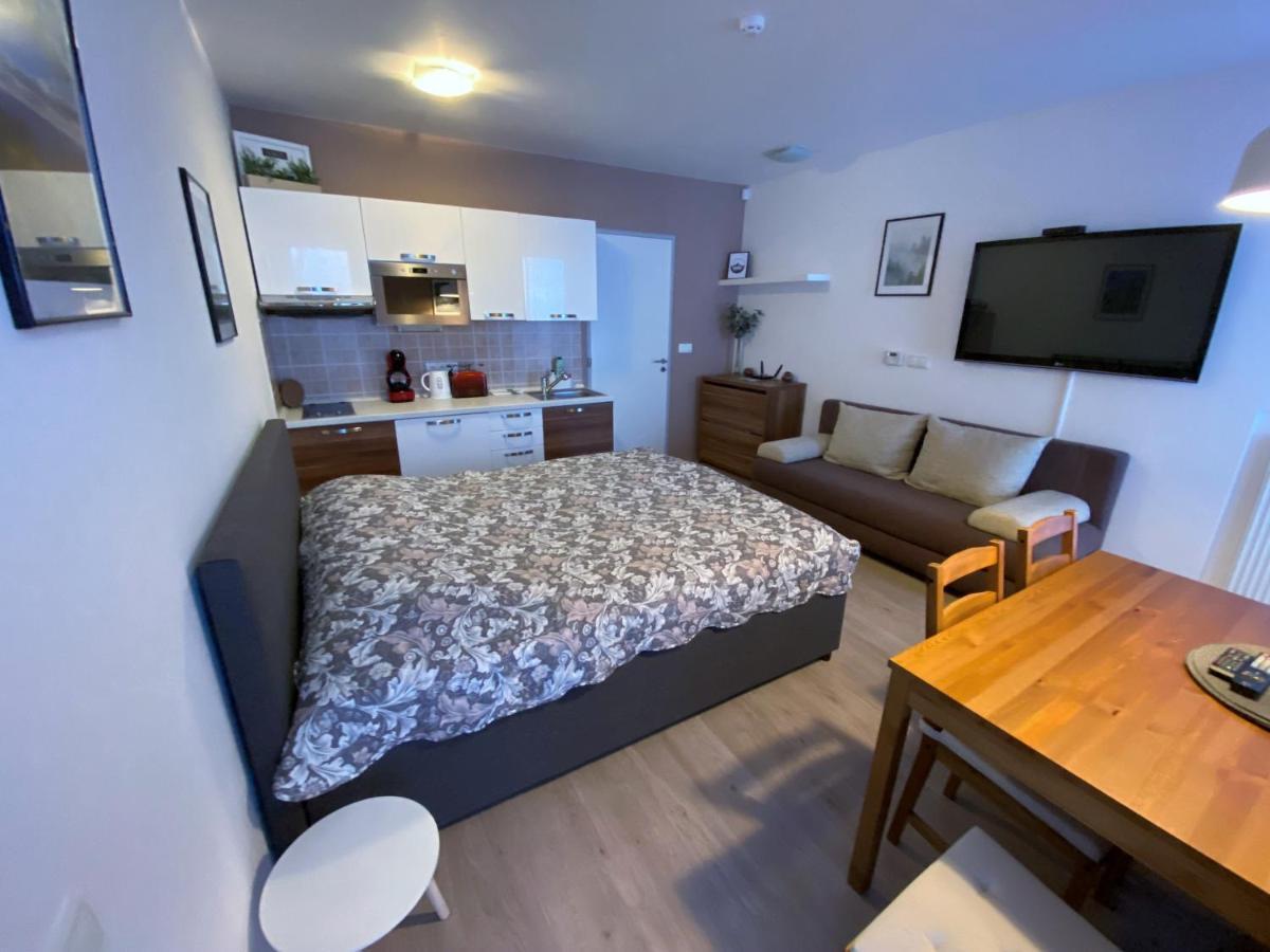 Miky Apartman Klinovec Meadow Loučná pod Klínovcem Екстериор снимка